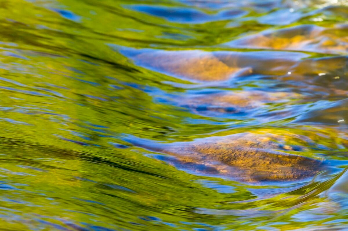 Termosifon Mu Yoksa Şofben Mi? İki Sistem Arasındaki Farklar ve Hangi Durumda Hangisi Tercih Edilmeli?