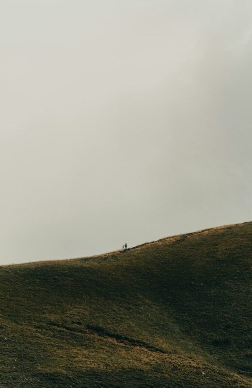 klima iç yapıları